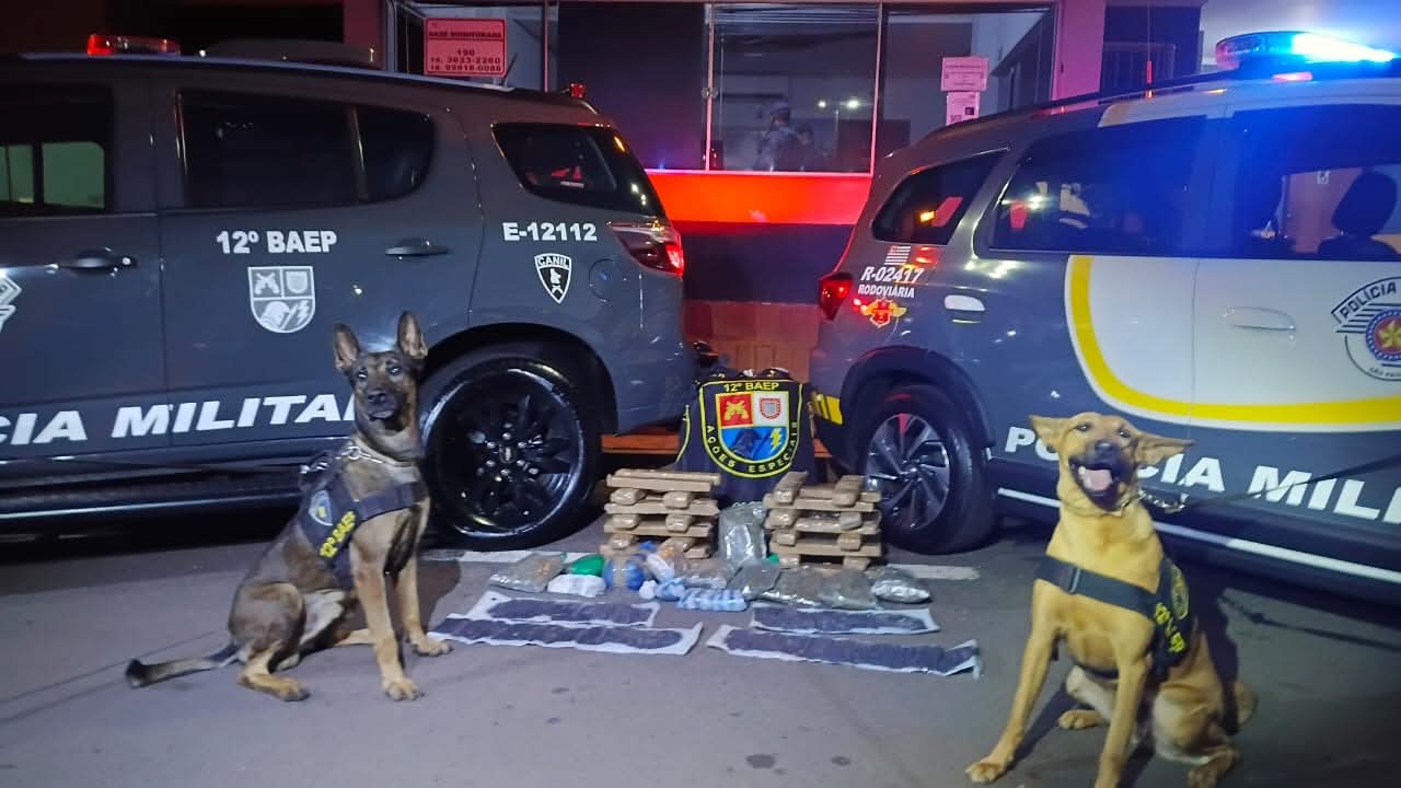 12° BAEP e Polícia Rodoviária apreendem drogas em ônibus na rodovia Rondon em Valparaíso 