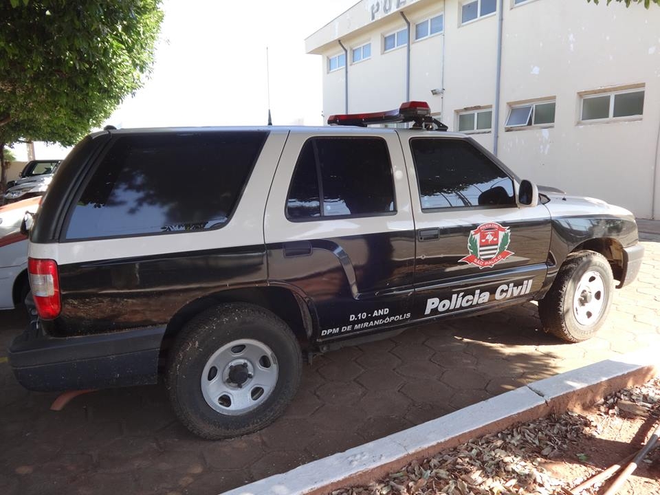 Cavalo de grande porte é atingido por carro na SP-300, em Araçatuba
