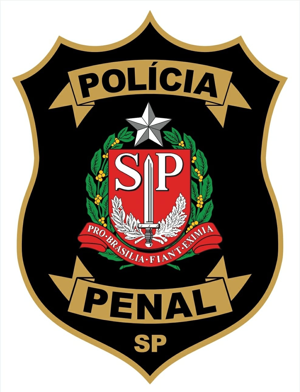 Governo de SP adquire 191 veículos de escolta para a Polícia Penal e libera PM para patrulhamento