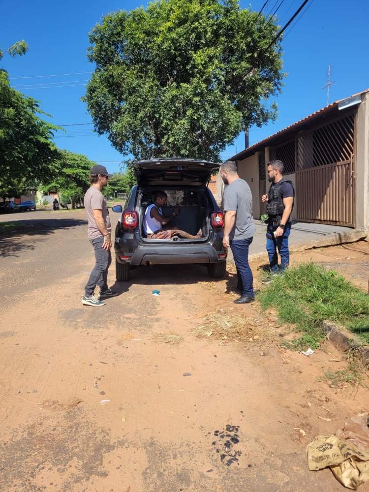 Polícia Civil de Andradina prende homem de 41 anos por descumprir medidas protetivas e ameaçar vítima