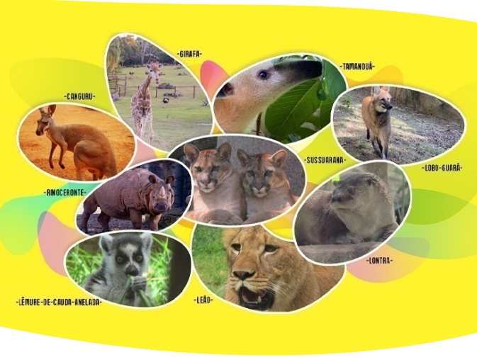 Animália Park é a nova atração de lazer e entretenimento de Cotia