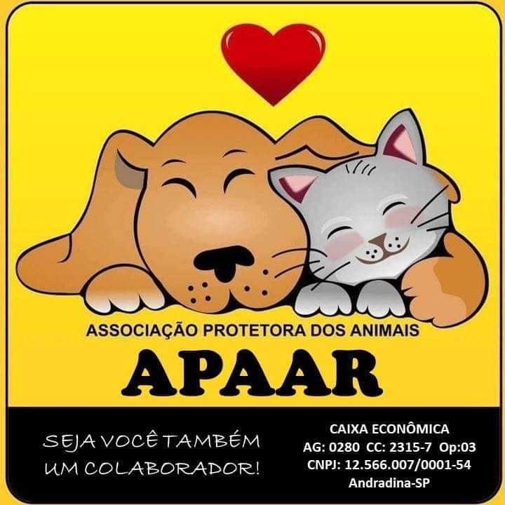 A APAAR de Andradina, Precisa de Você! Por apenas R$ 2,90 por mês, você pode ajudar!