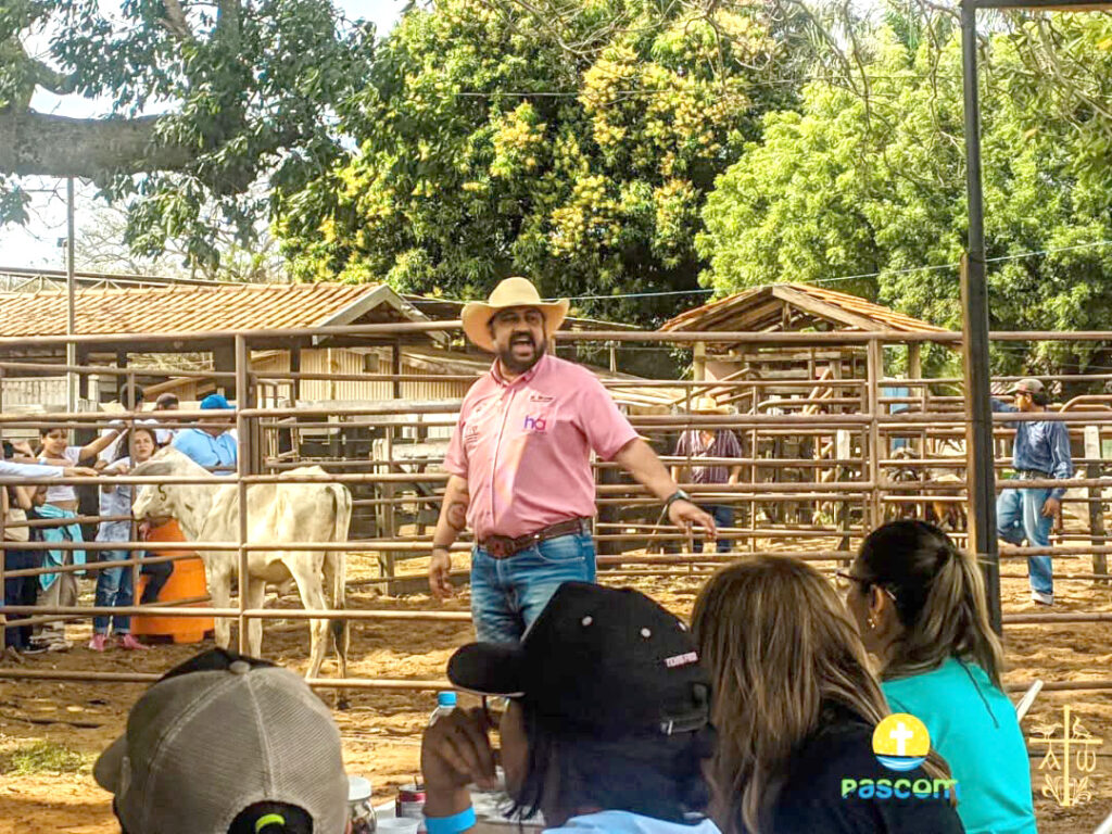 Sucesso total o leilão de gado em prol da Paróquia São José, em Castilho