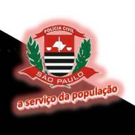 Polícia Civil de Penápolis investiga suposto estupro contra adolescente de 12 anos