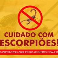 Prefeitura de Birigui informa: 552 acidentes com escorpiões este ano. CCVZ faz alerta aos moradores