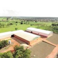 EM MONTE CASTELO URUCUM BRASIL ANUNCIA HOJE PAGAMENTO DE R$ 7,00 0 QUILO