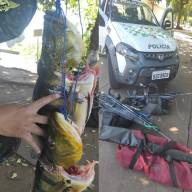 Polícia Ambiental autua dois agrônomos e um dentista por crime ambiental em Castilho