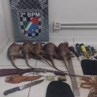 Força Tática de Três Lagoas apreende arma de fogo e cinco envolvidos por caçar espécies da Fauna Silvestre