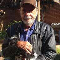ANDRADINA CHORA  A PERDA DO PECUARISTA JOSÉ LUIZ CALESTINI