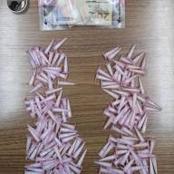BAEP de Araçatuba prende indivíduo por tráfico de drogas, alvo de combate ao crime bairro Planalto