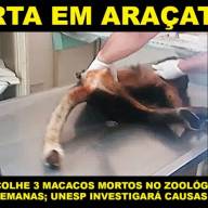 Polícia Militar de Água Clara recupera motocicleta furtada em dia anterior