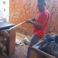 Criança é atacada por cobra em residência no bairro Laranjeiras em Castilho