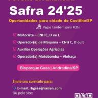 Raízen realizará entrevistas para contratação de mão de obra em Castilho