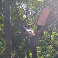 Vândalos voltam a atacar no Jardim Nova Esperança em Andradina