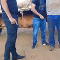 Condenado a 35 anos por estuprar as filhas é capturado em Birigui pela DIG de Araçatuba