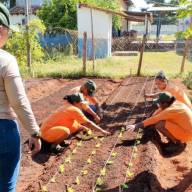 Curso em horticultura qualifica reeducandas de Três Lagoas