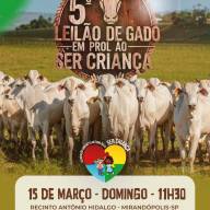 5º Leilão de Gado em prol ao PROJETO SER CRIANÇA acontece em março em Mirandópolis