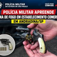 POLÍCIA MILITAR APREENDE ARMA DE FOGO EM BAR DE ANDRADINA/SP