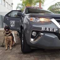 12° BAEP e Polícia Rodoviária capturam procurado com documento falso na SP 300 em Valparaíso 