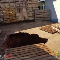 Prefeito de Selvíria oficializa entrega de patrulhas mecanizadas