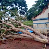 Prefeitura de Sud Mennucci realizou o arrastão da dengue