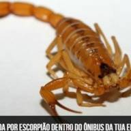 Em Três Lagoas colaboradores celebram mês de aniversário no projeto “Aniversariantes do Mês