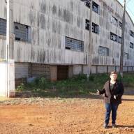Governo de Andradina coleta pequenos animais mortos